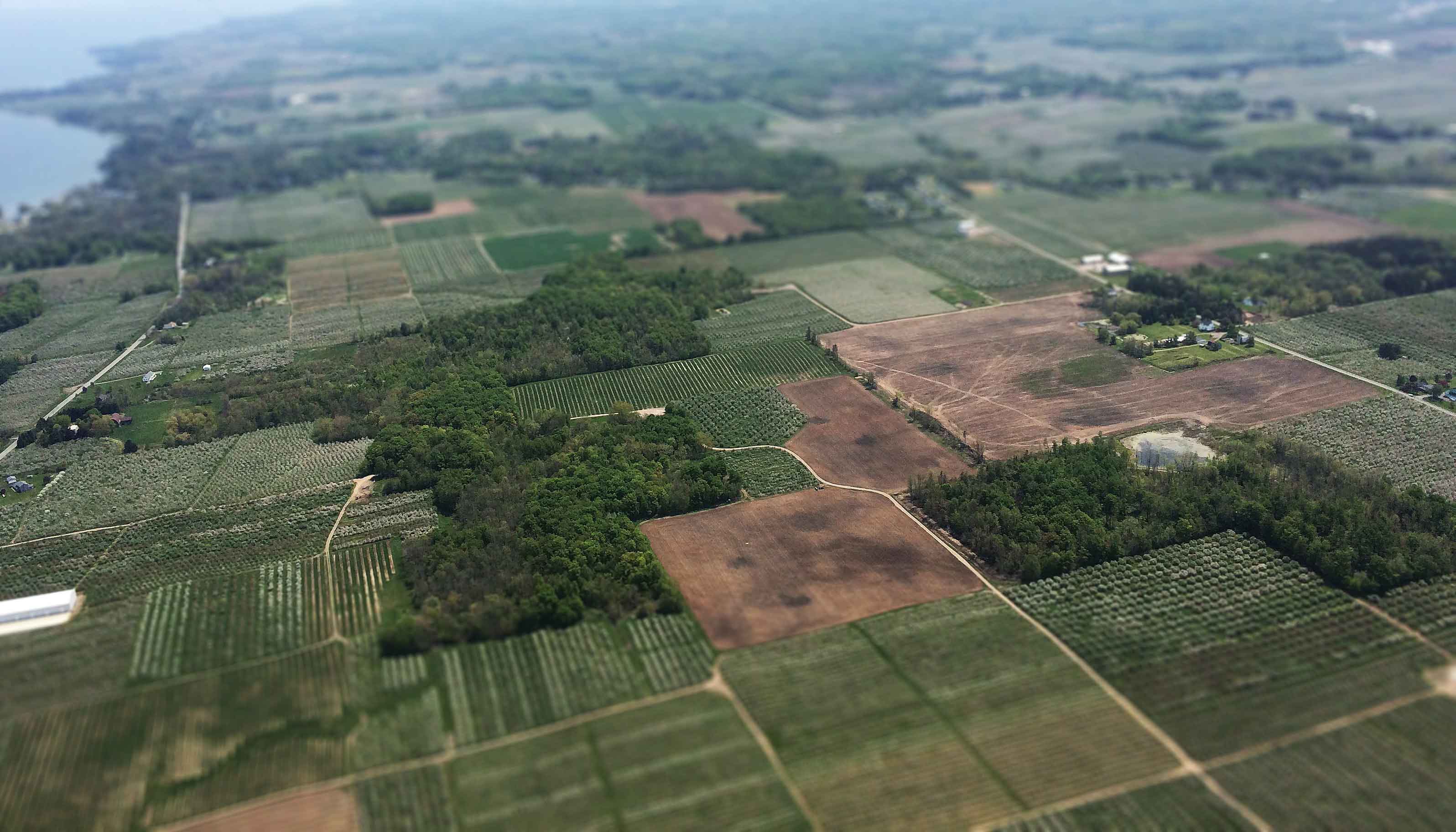 farm landscape