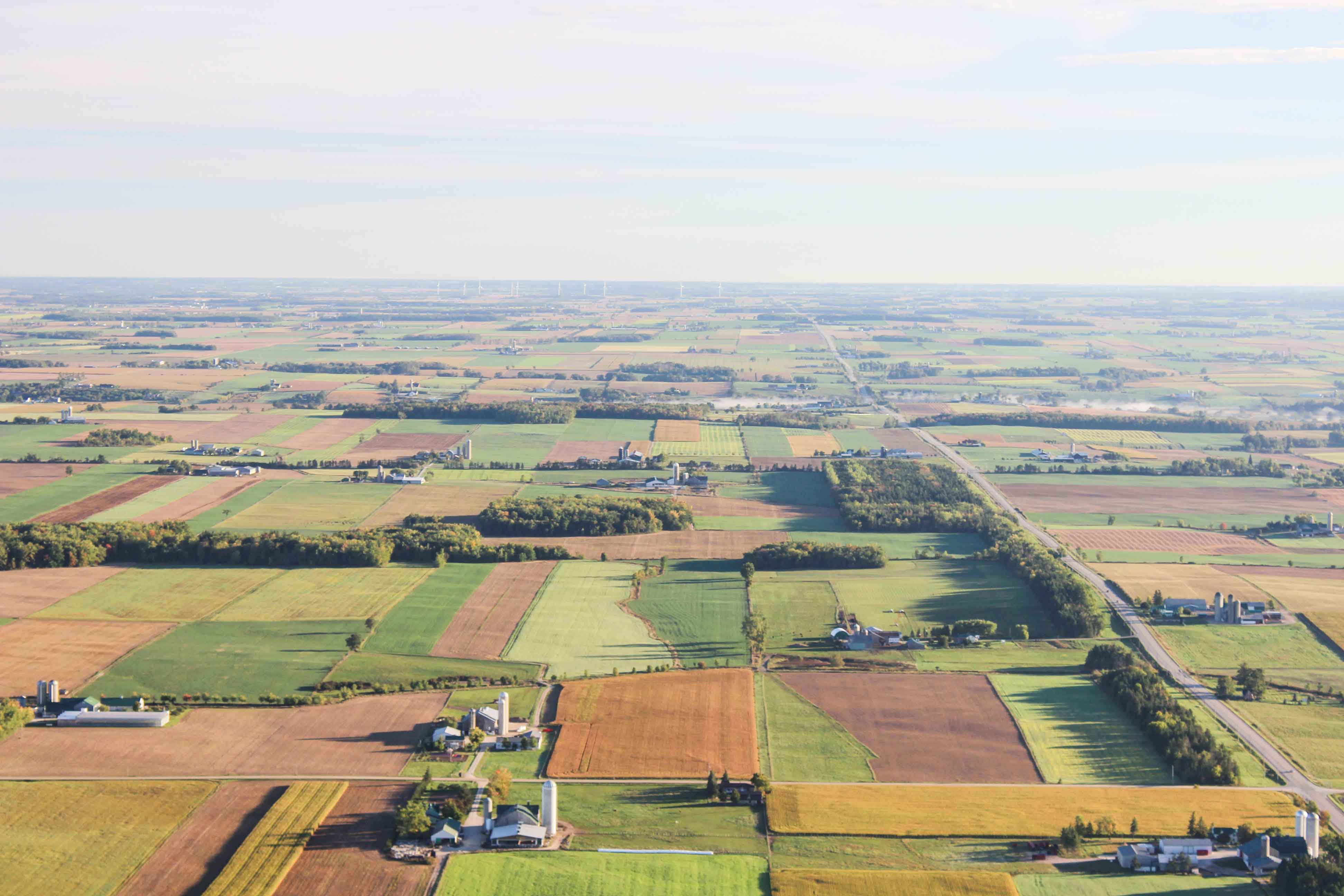 farm landscape
