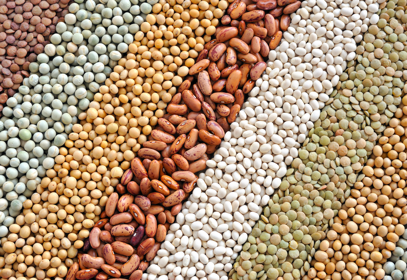 dried peas